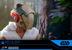 Rey and D-O (Prototype Shown) View 5