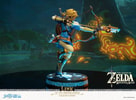 Link (Collector's Edition) Collector Edition (Prototype Shown) View 7