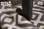 Peter Sellers (Prototype Shown) View 8