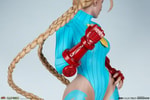 Cammy: Killer Bee (Prototype Shown) View 2