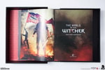 The World of The Witcher- Prototype Shown
