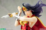 Armored Wonder Woman