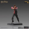 Harry Potter (Prototype Shown) View 4
