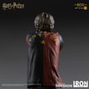 Harry Potter (Prototype Shown) View 9