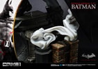 Batman Collector Edition - Prototype Shown