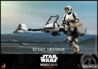 Scout Trooper