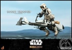 Scout Trooper