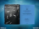 Michael Muller. Sharks (Prototype Shown) View 1