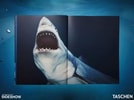 Michael Muller. Sharks (Prototype Shown) View 4