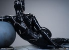 Catwoman Collector Edition - Prototype Shown