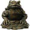XXRAY+ Fortune Frog- Prototype Shown