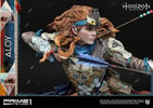 Aloy Shield Weaver Armor Set
