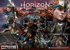 Aloy Shield Weaver Armor Set