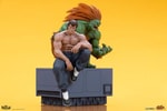 Blanka & Fei Long (Prototype Shown) View 12