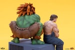Blanka & Fei Long (Prototype Shown) View 20