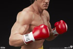 Rocky II View 10