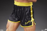 Rocky II View 9