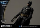 Batman Collector Edition (Prototype Shown) View 9