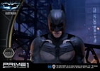 Batman Collector Edition (Prototype Shown) View 14