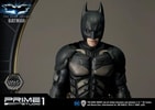 Batman Collector Edition (Prototype Shown) View 15