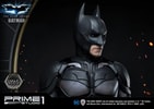 Batman Collector Edition (Prototype Shown) View 18
