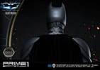 Batman Collector Edition (Prototype Shown) View 19