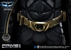 Batman Collector Edition (Prototype Shown) View 20
