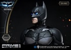 Batman (Deluxe Version) (Prototype Shown) View 12