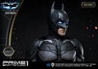 Batman (Deluxe Version) (Prototype Shown) View 13