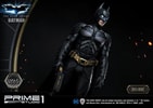 Batman (Deluxe Version) (Prototype Shown) View 16