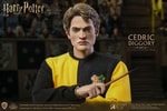 Cedric Diggory (Tri-Wizard Version) (Prototype Shown) View 3