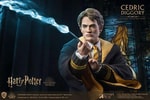 Cedric Diggory (Deluxe Version)- Prototype Shown