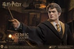 Cedric Diggory (Deluxe Version)
