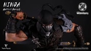 Ninja