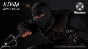 Ninja- Prototype Shown