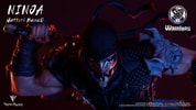 Ninja- Prototype Shown