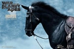 Caesar Horse (Prototype Shown) View 3