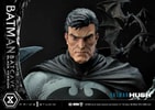 Batman Batcave (Black Version) Collector Edition (Prototype Shown) View 17