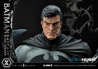 Batman Batcave (Black Version) Collector Edition (Prototype Shown) View 55