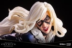 Black Cat