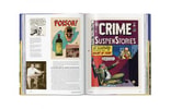 The History of EC Comics (Prototype Shown) View 9