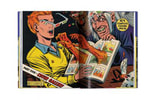 The History of EC Comics (Prototype Shown) View 15