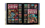 The History of EC Comics (Prototype Shown) View 16