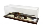 Arya's Blade- Prototype Shown