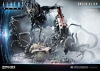 Queen Alien Battle