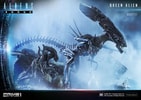 Queen Alien Battle