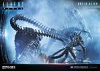 Queen Alien Battle