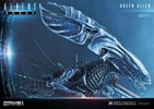 Queen Alien Battle