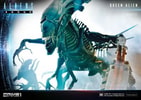 Queen Alien Battle