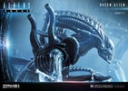 Queen Alien Battle